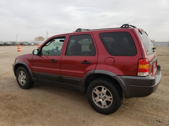 2003 Ford Escape XLT