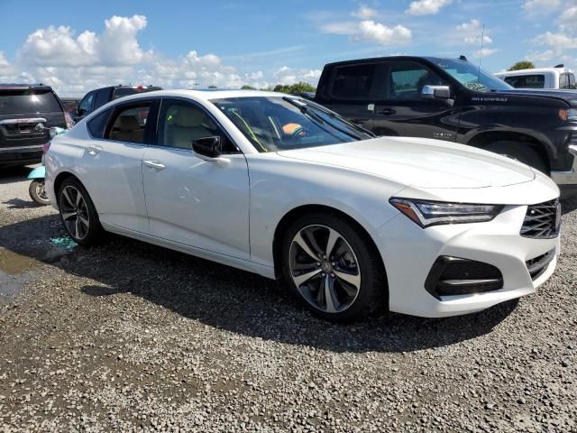 2024 Acura TLX Technology