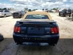 2002 Ford Mustang GT