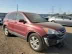 2010 Honda CR-V EXL