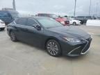 2023 Lexus ES 350 Base