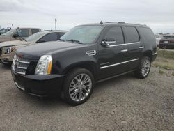 Salvage cars for sale from Copart Arcadia, FL: 2011 Cadillac Escalade Platinum