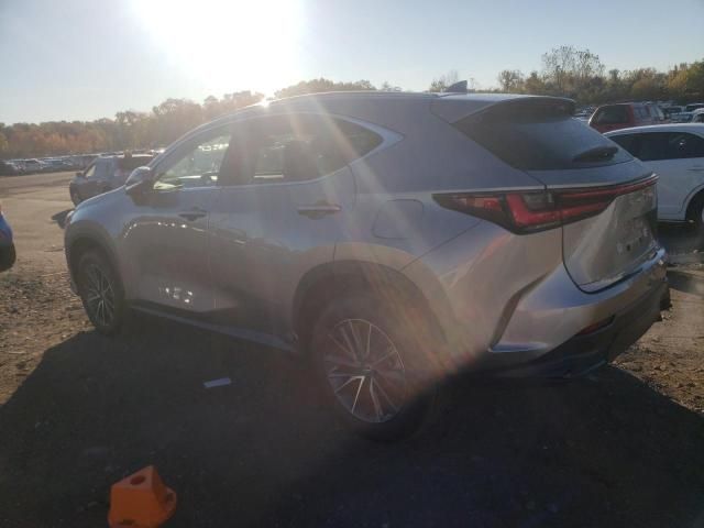 2024 Lexus NX 350 Base