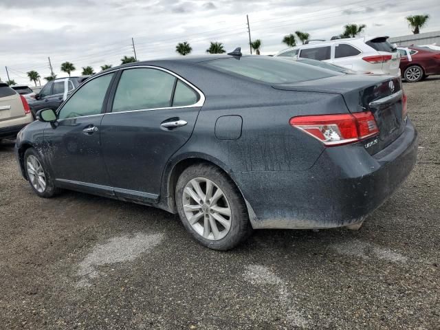 2010 Lexus ES 350