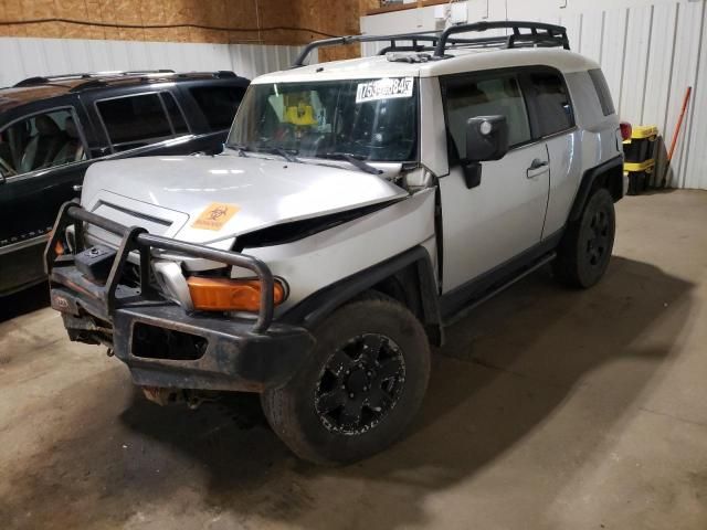 2007 Toyota FJ Cruiser