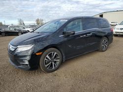 Hail Damaged Cars for sale at auction: 2019 Honda Odyssey Touring