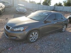 Salvage cars for sale at Oklahoma City, OK auction: 2010 Honda Accord EXL