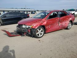 Salvage cars for sale at Gaston, SC auction: 2014 Toyota Camry L