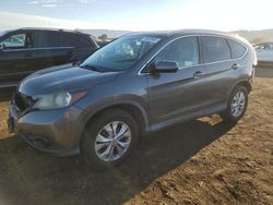 Salvage cars for sale at San Martin, CA auction: 2014 Honda CR-V EXL