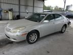 2004 Lexus ES 330