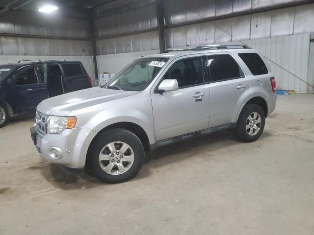 2010 Ford Escape Limited