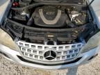 2010 Mercedes-Benz ML 350