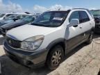 2004 Buick Rendezvous CX