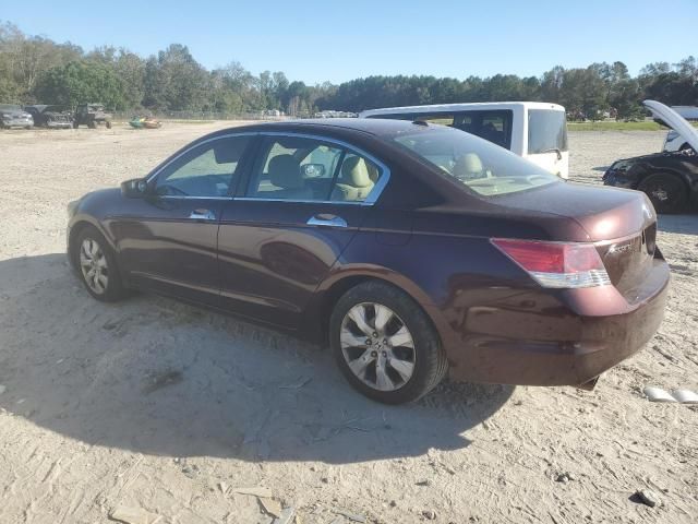 2010 Honda Accord EXL