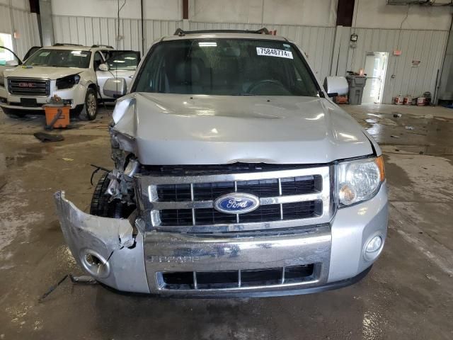 2010 Ford Escape Limited