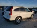 2008 Honda CR-V EXL