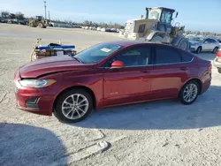 Ford Fusion se Vehiculos salvage en venta: 2019 Ford Fusion SE