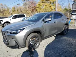 Carros dañados por inundaciones a la venta en subasta: 2025 Lexus NX 350H Base