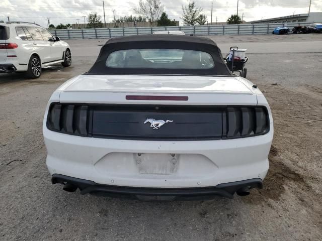 2019 Ford Mustang