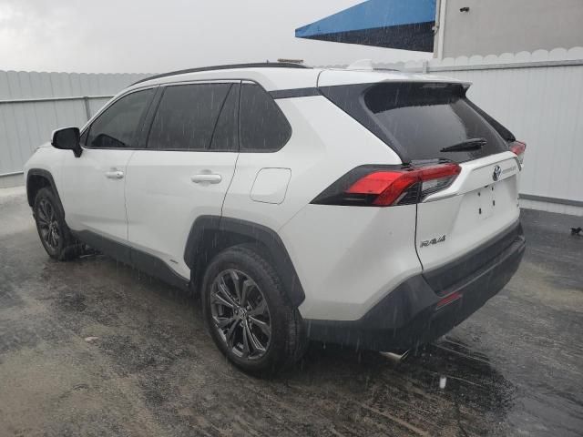 2023 Toyota Rav4 XLE Premium