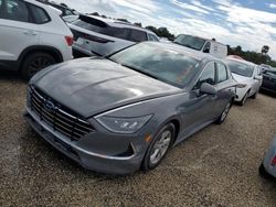 Salvage cars for sale at Riverview, FL auction: 2020 Hyundai Sonata SE