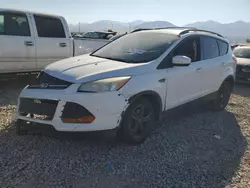 Salvage cars for sale at Magna, UT auction: 2013 Ford Escape SE