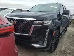 Flood-damaged cars for sale at auction: 2023 Cadillac Escalade Premium Luxury