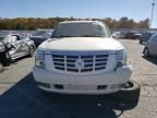 2008 Cadillac Escalade Luxury