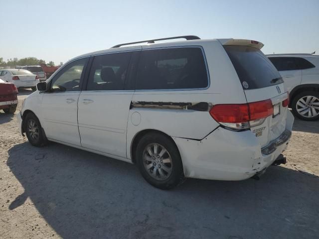 2010 Honda Odyssey EXL