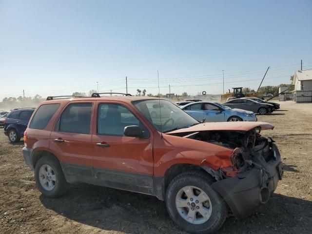 2006 Ford Escape XLT