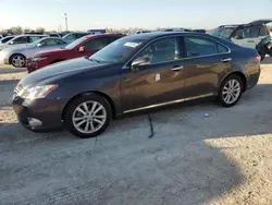 Carros salvage para piezas a la venta en subasta: 2010 Lexus ES 350