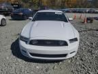 2014 Ford Mustang GT