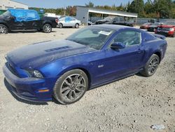 Ford Mustang gt salvage cars for sale: 2013 Ford Mustang GT