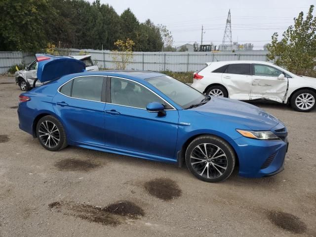 2019 Toyota Camry Hybrid