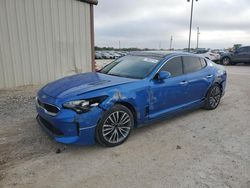 KIA Stinger Vehiculos salvage en venta: 2019 KIA Stinger Premium