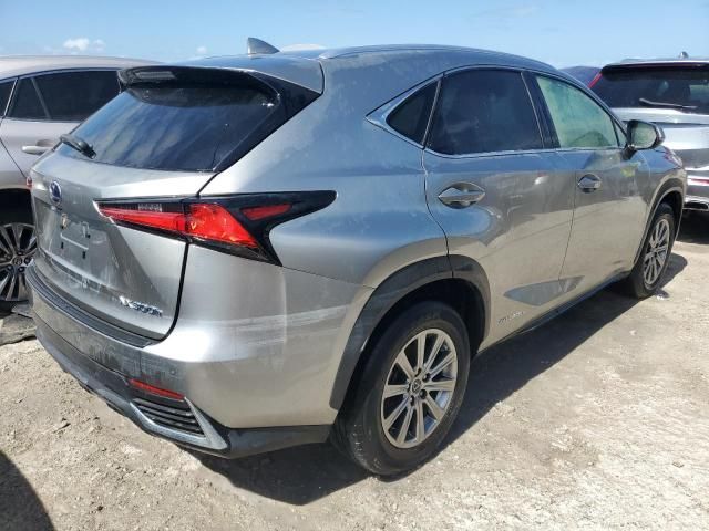 2020 Lexus NX 300H