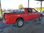 2010 Dodge Dakota SXT