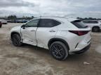 2024 Lexus NX 250 Base