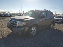 Salvage cars for sale at auction: 2012 Ford Escape XLT