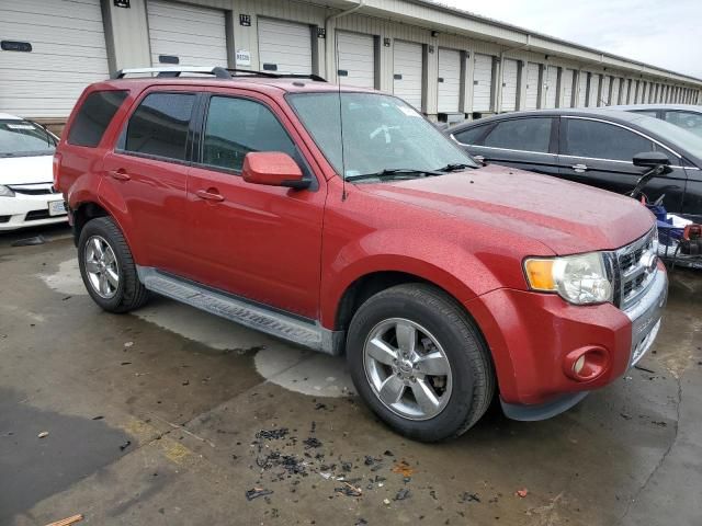 2012 Ford Escape Limited