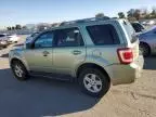 2009 Ford Escape Hybrid