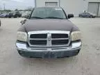 2005 Dodge Dakota Quad SLT