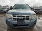 2012 Ford Escape XLS