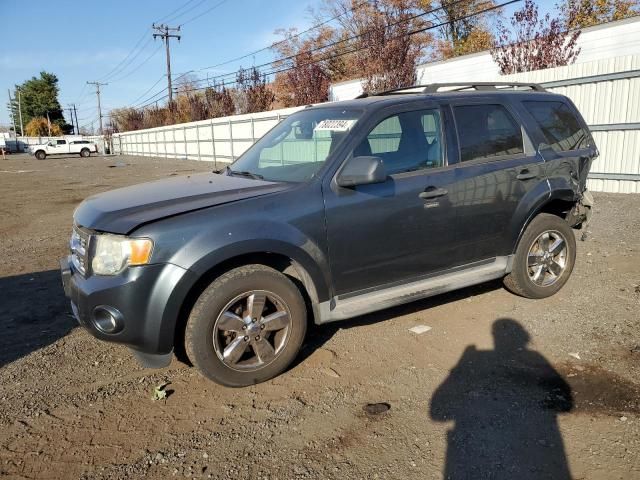 2009 Ford Escape XLT