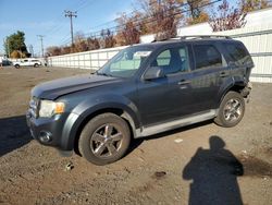 Ford salvage cars for sale: 2009 Ford Escape XLT