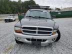 2003 Dodge Dakota Quad SLT