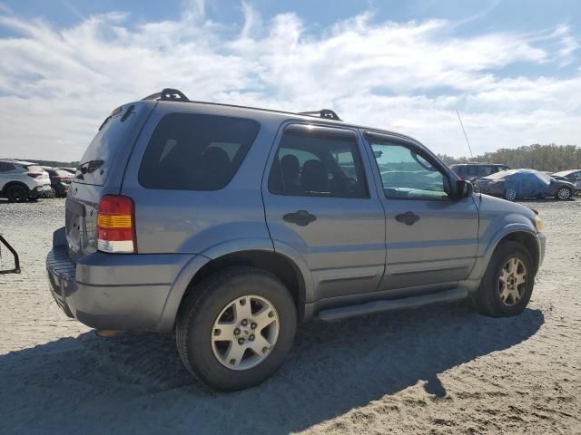 2007 Ford Escape XLT