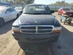 2004 Dodge Dakota SXT