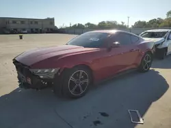 Muscle Cars for sale at auction: 2024 Ford Mustang