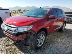 Salvage cars for sale at Magna, UT auction: 2013 Ford Edge SEL